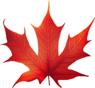 🍁eatherSimple logo